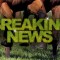 Victorian stablehand dies after being hit by a car