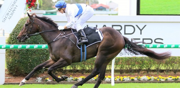 Maurice Mccarten Stakes nominations – 2020