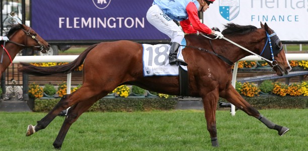 Mornington Cup Prelude nominations – 2020