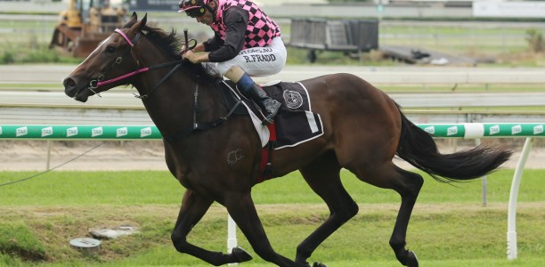 Rothfire scares off rivals in $500,000 QTIS Jewel