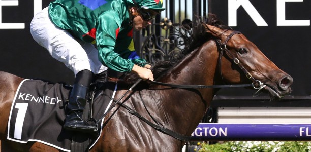 Punters crunch All Star Mile favourite