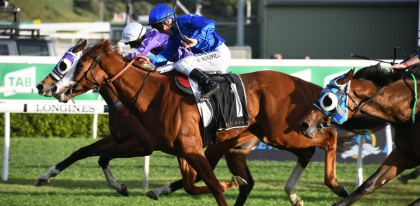 Cascadian on notice in the Ajax Stakes