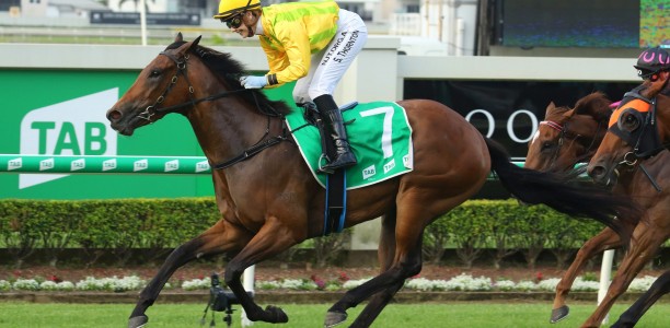 Boom times for Tony Gollan at the Gold Coast