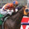 All Star Mile plunge on star NZ mare