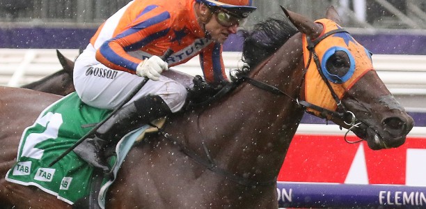 All Star Mile plunge on star NZ mare