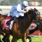 Exasperate races to Caulfield victory