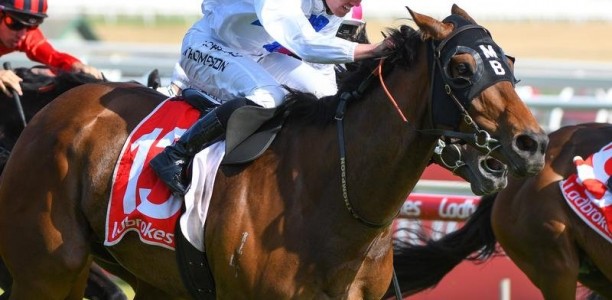 Exasperate races to Caulfield victory