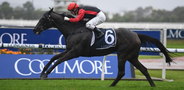 Punter turns $10 into $11k on the Coolmore Classic