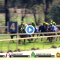 Watch: Black Caviar’s daughter runs second in debut