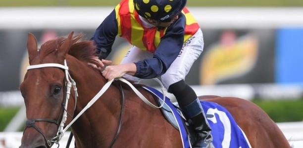 No William Reid Stakes for Nature Strip