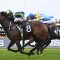 Brandenburg to run in WFA George Ryder Stakes