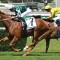 Punters Hungry for long odds shot to win Golden Slipper
