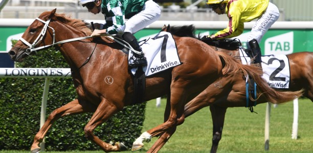 Punters Hungry for long odds shot to win Golden Slipper