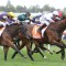 Extreme measures for jockeys to keep racing going