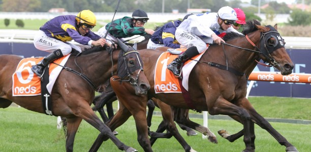 Extreme measures for jockeys to keep racing going
