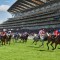 British Horseracing Authority is formulating a plan for financial assistance