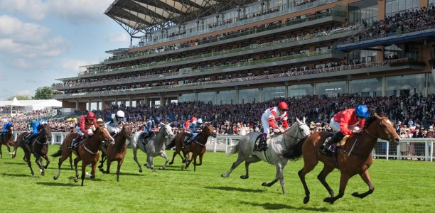 British Horseracing Authority is formulating a plan for financial assistance