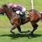 Oh Mama, Slipper revives special memories
