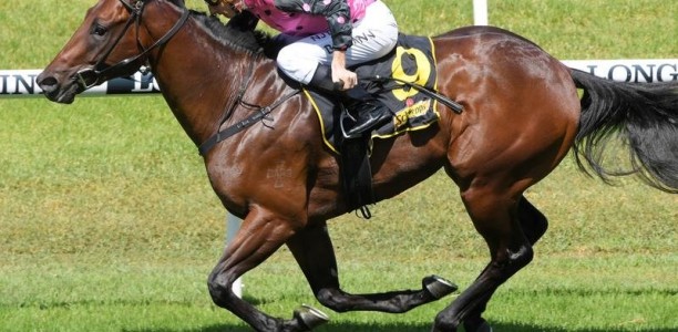 Oh Mama, Slipper revives special memories