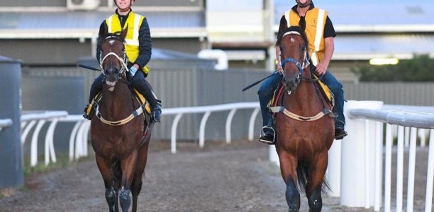 Official race trials in Victoria cancelled