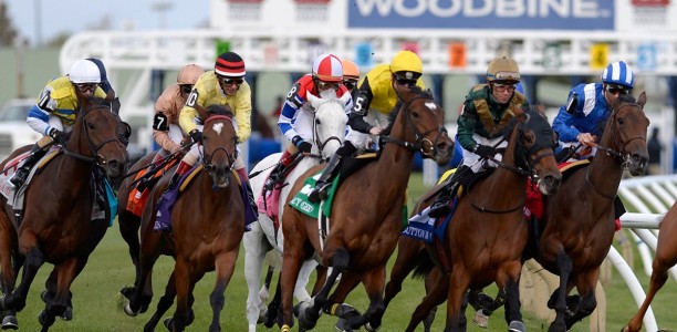 Ireland and Canada halt horse racing
