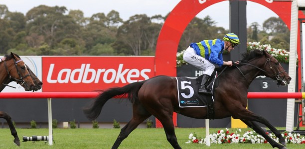 Victorian races called off pending COVID-19 test