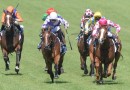 Queensland joins other states to suspend racing