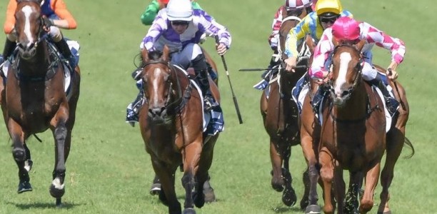 Queensland joins other states to suspend racing