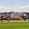 Muswellbrook Cup meeting given green light