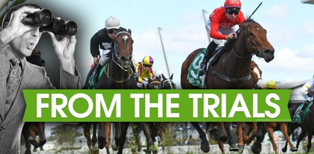 From The Trials – March 26th Edition