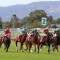 South Australian racing slashes prizemoney
