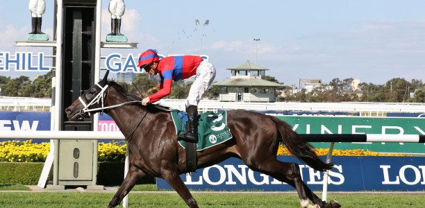 Vinery Stud Stakes – What you need to know