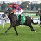 Verry Elleegant far too good in G1 Tancred Stakes