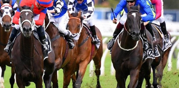 Rosehill suspensions for Bowman and Berry