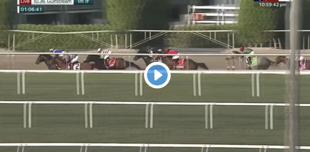 Watch: Star horse unearthed in the US