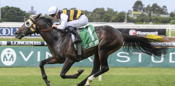 OTI Racing with key hopes in Randwick G1’s
