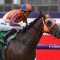 Melody Belle draws 14 in Doncaster