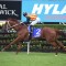 Nature Strip’s odds slashed for the G1 TJ Smith Stakes