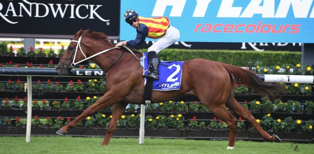 Nature Strip’s odds slashed for the G1 TJ Smith Stakes