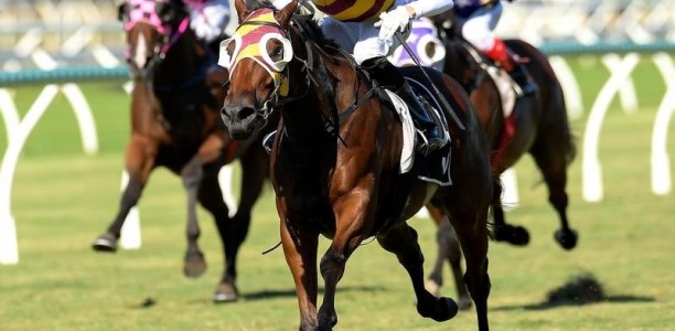 Gollan ready to Get Stuck In at Doomben
