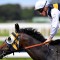 Baker after fifth Australian Derby success