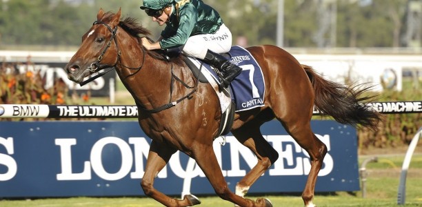 Newgate Farm with plenty of quality at the Inglis Easter Yearling sales