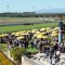 Mooloolaba Cup