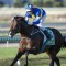 Gong could provide perfect autumn Passage