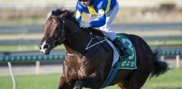 Gong could provide perfect autumn Passage