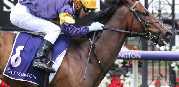 Boom 3YO odds on for the Eureka Stockade at Ballarat