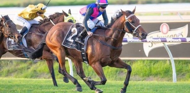 Carbine Club Of WA Stakes a wide open betting race