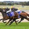 Sydney colt races into Magic Millions Classic