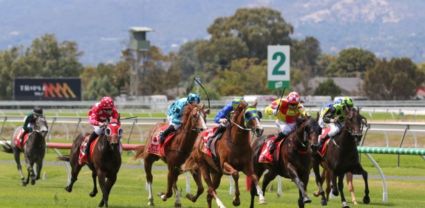 South Australia set to resume racing