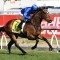 Winterbottom Stakes Odds Before/After Final Field – 2020